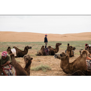 The Art of Not Shooting:  An Immersive Photography Experience with Jacob Maentz